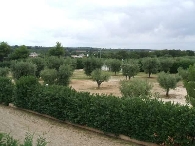Locazione Turistica Green Park Martina Franca Luaran gambar